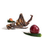 Putenflügel luftgetrocknet