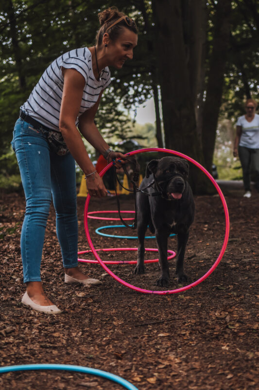 Hundetraining Lüdenscheid Schalksmühle Iserlohn