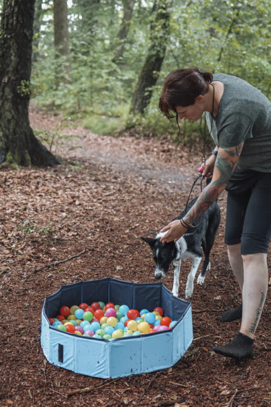 Hundetraining Lüdenscheid