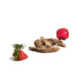 Wildhasenohr mit Fell luftgetrocknet