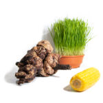 Rinder-Schaschlikspieß luftgetrocknet